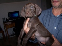 CHIOT